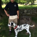 Stonehill Kennel dog training