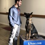 Stonehill Kennel dog training
