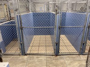 Stonehill Kennel Boarding